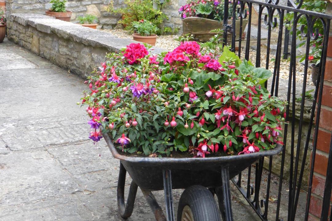 Photo of Others in Ilchester