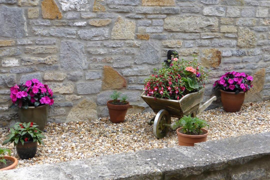 Photo of Others in Ilchester