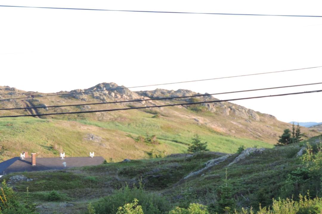 Photo of Others in Twillingate