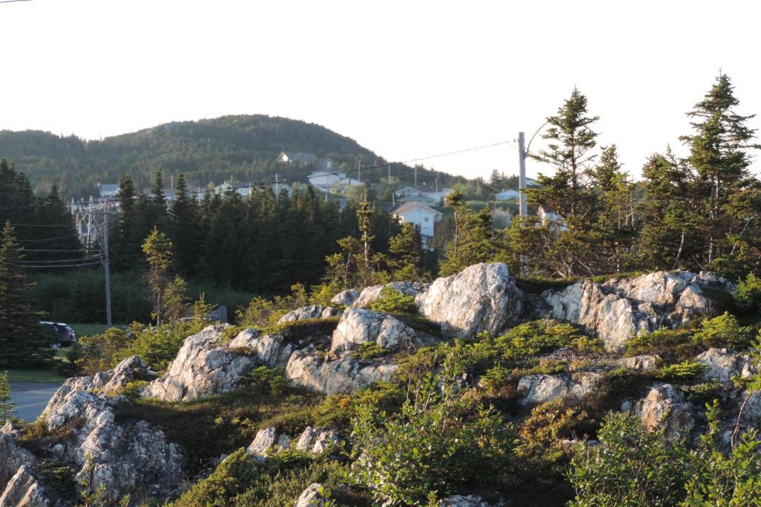 Photo of Others in Twillingate