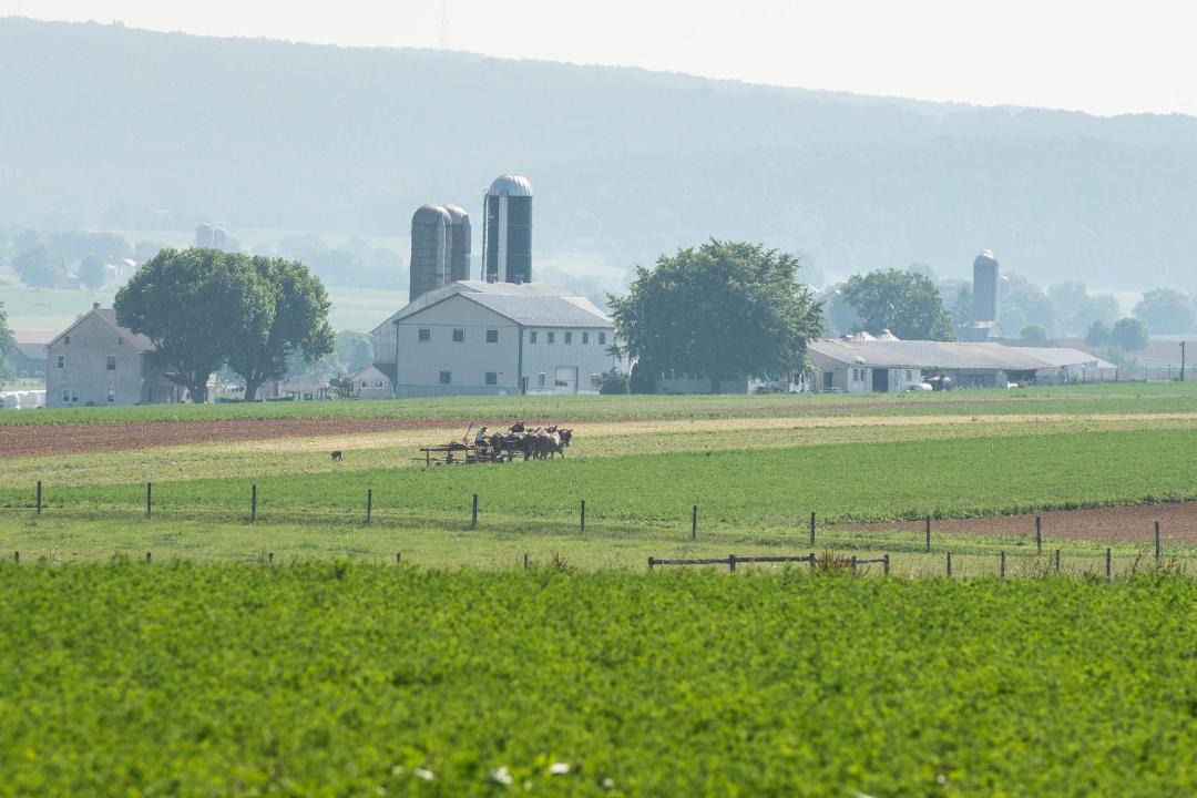 Photo of Others in Gordonville