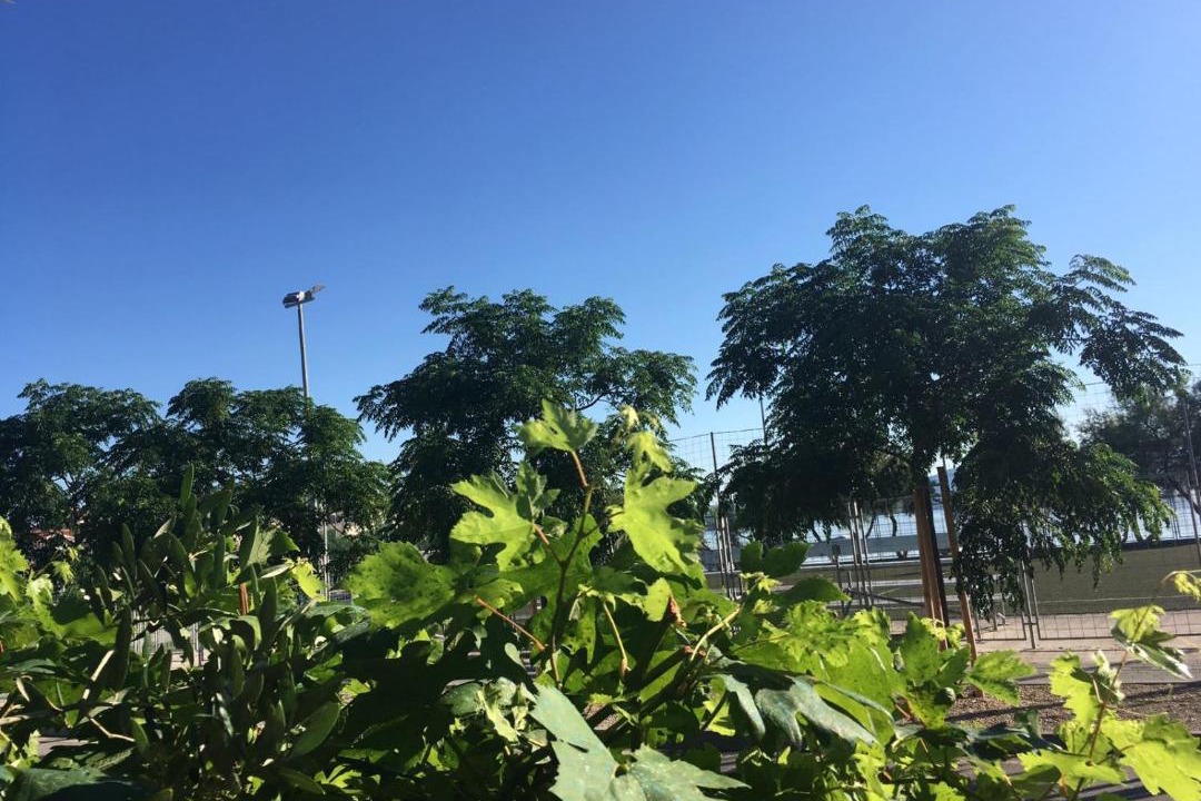 Photo of Outdoor in Susica