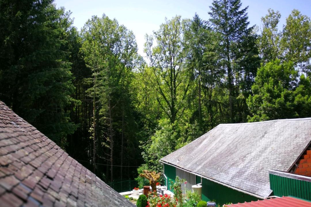 Photo of Others in Uzerche