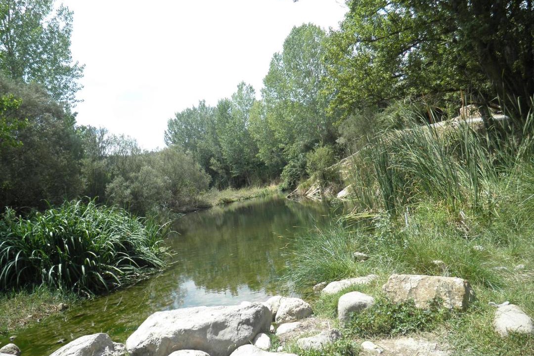 Photo of Others in Benafer