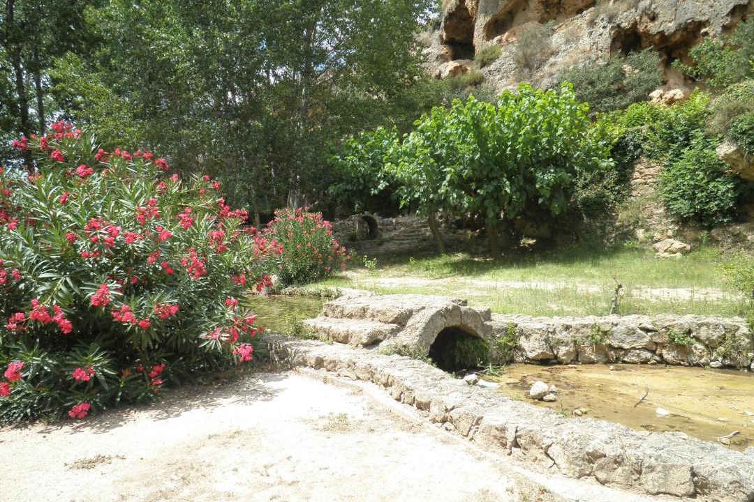 Photo of Others in Benafer