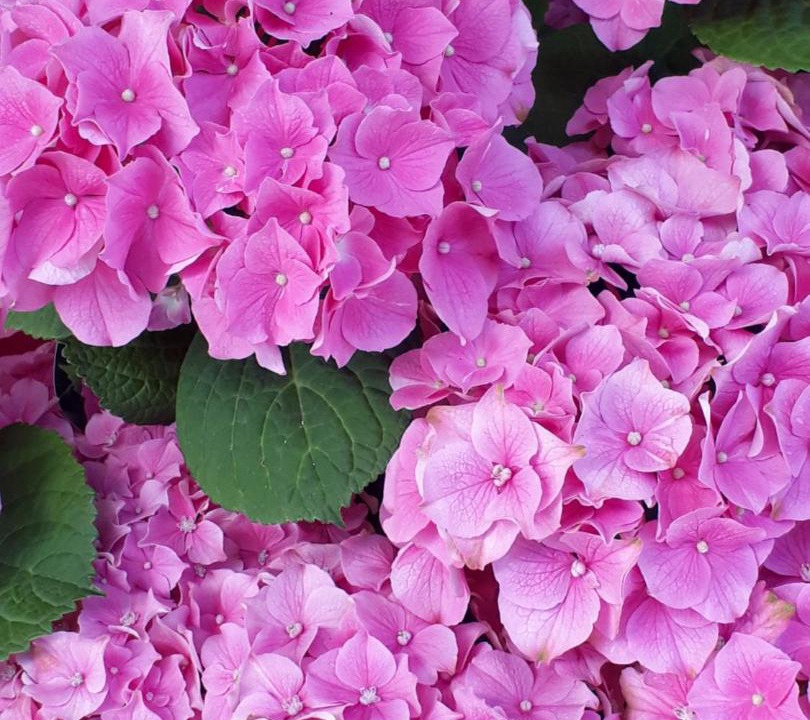 Photo of Others in Lillers