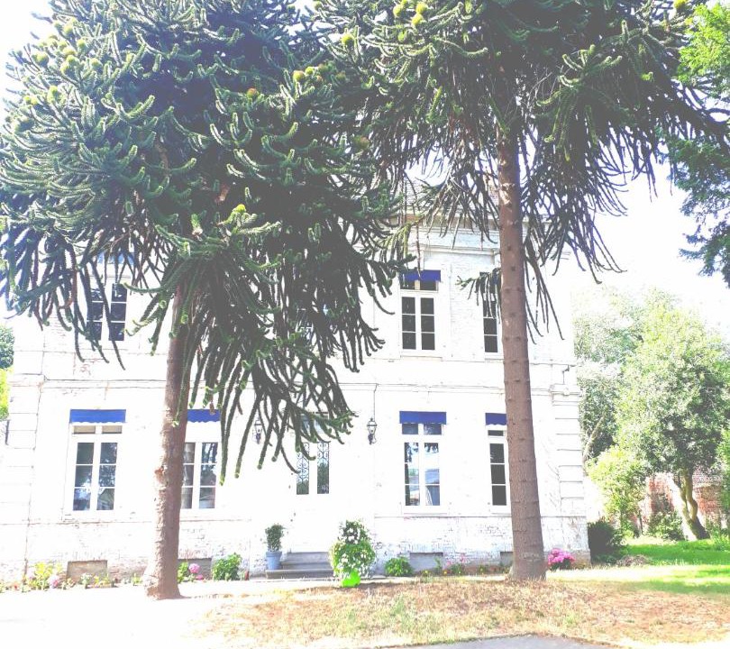 Photo of Buildings in Lillers