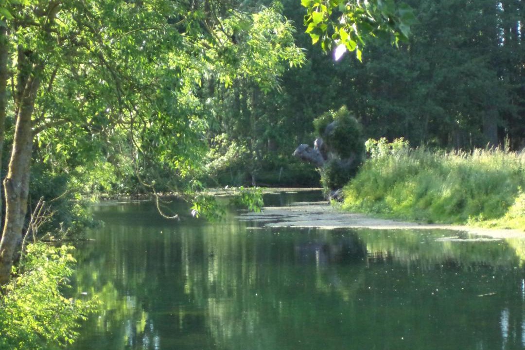 Photo of Others in Liez