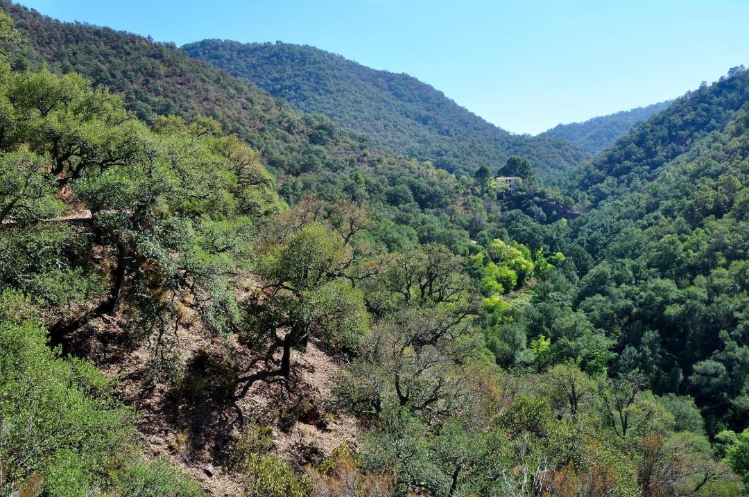 Photo of Outdoor in Caudiel