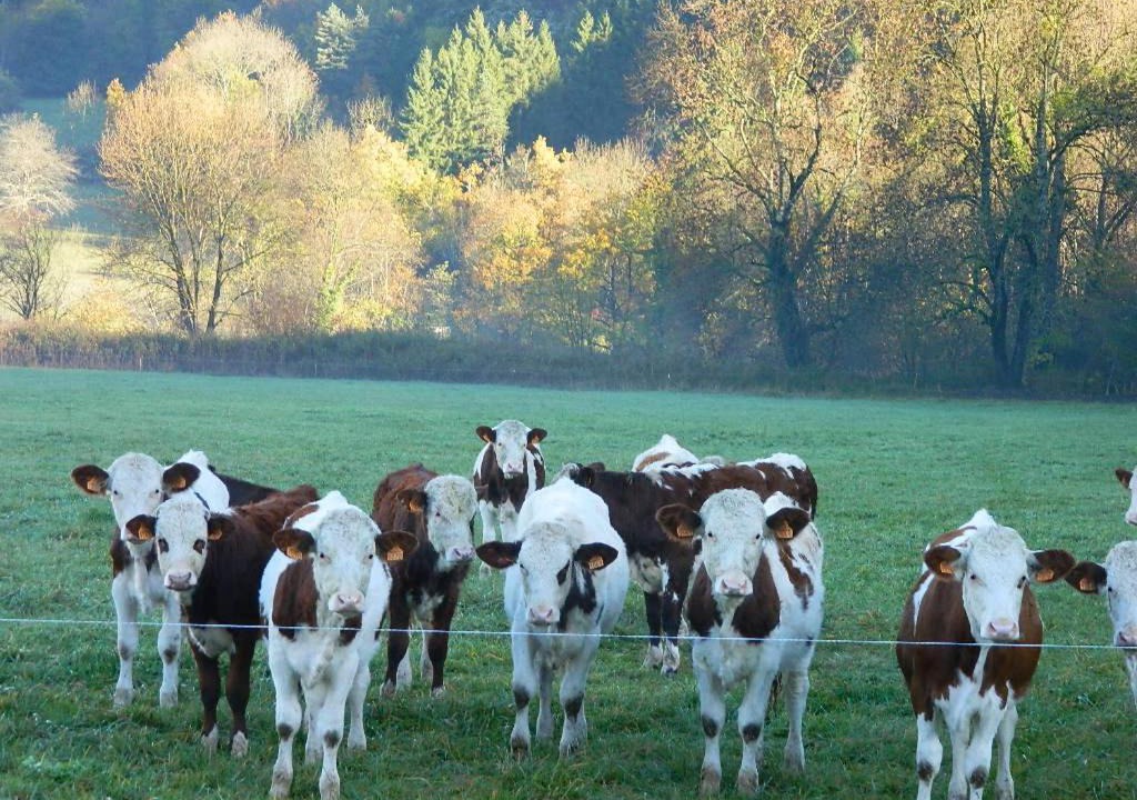 Photo of Others in Verthier
