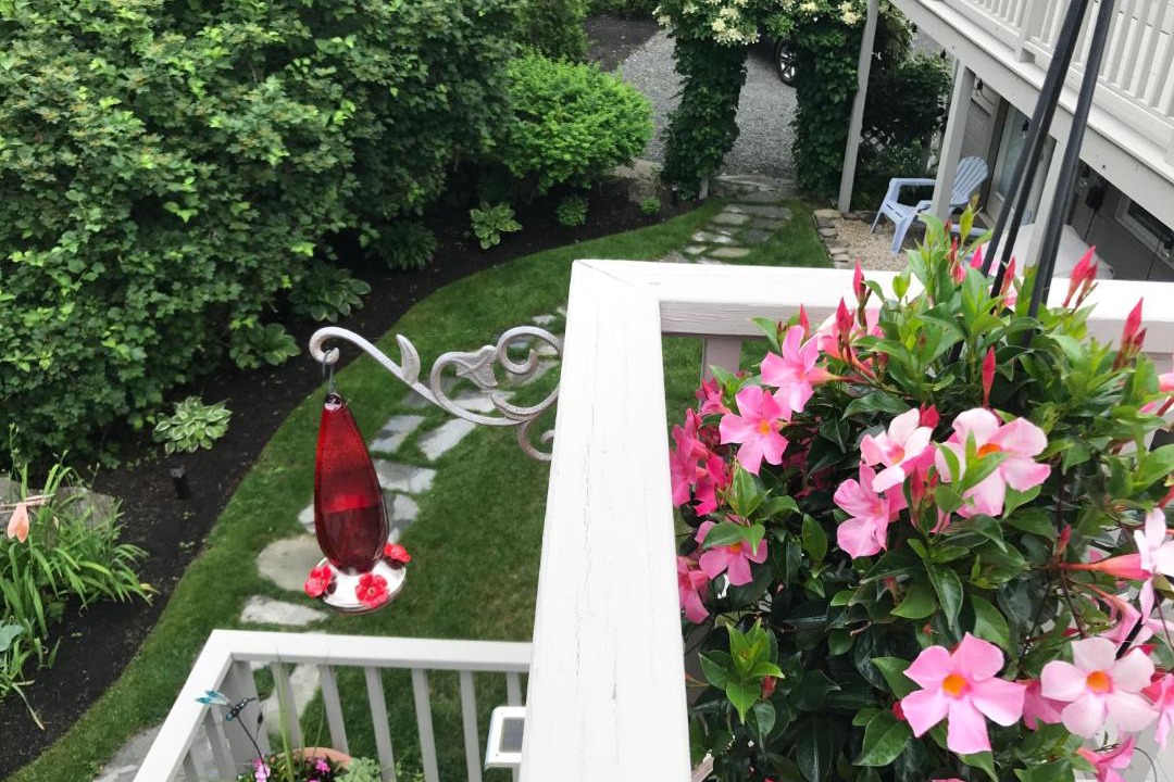 Photo of Patio Balcony in Ogunquit