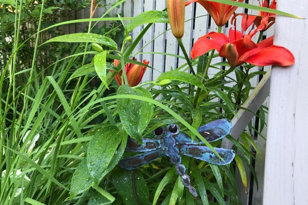 Photo of Others in Ogunquit