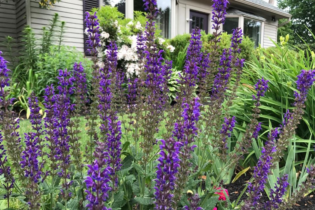 Photo of Others in Ogunquit