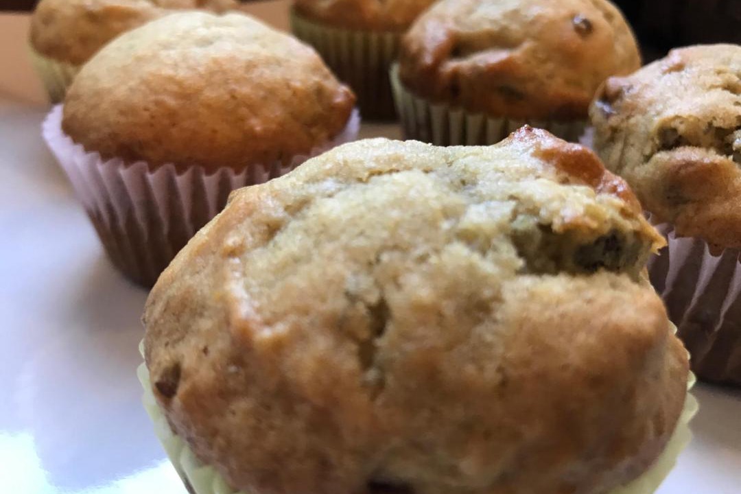 Photo of Others in Ogunquit