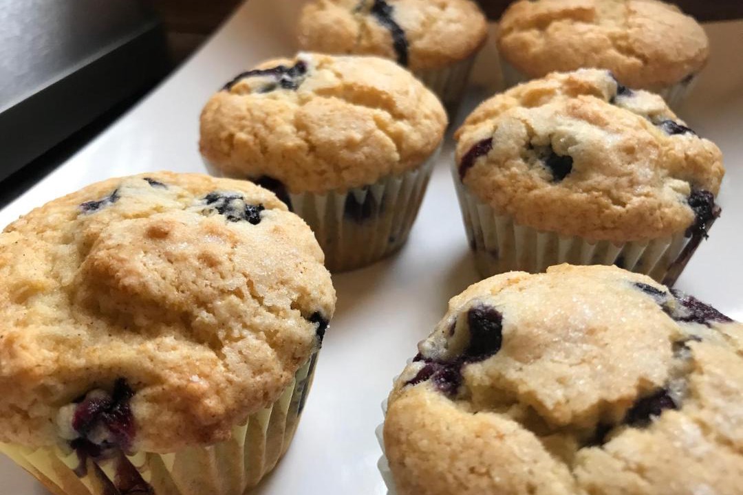 Photo of Others in Ogunquit