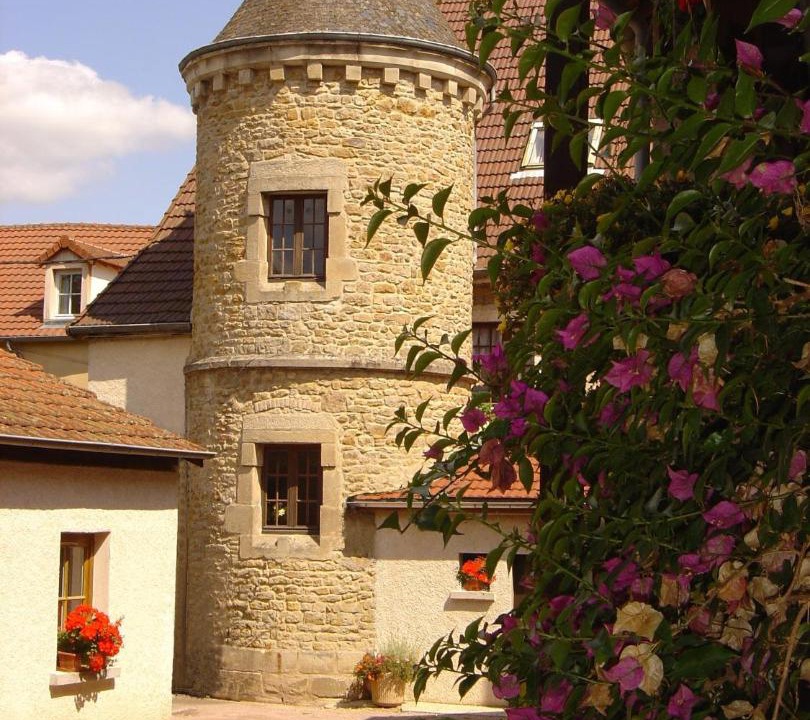 Photo of Others in Couches