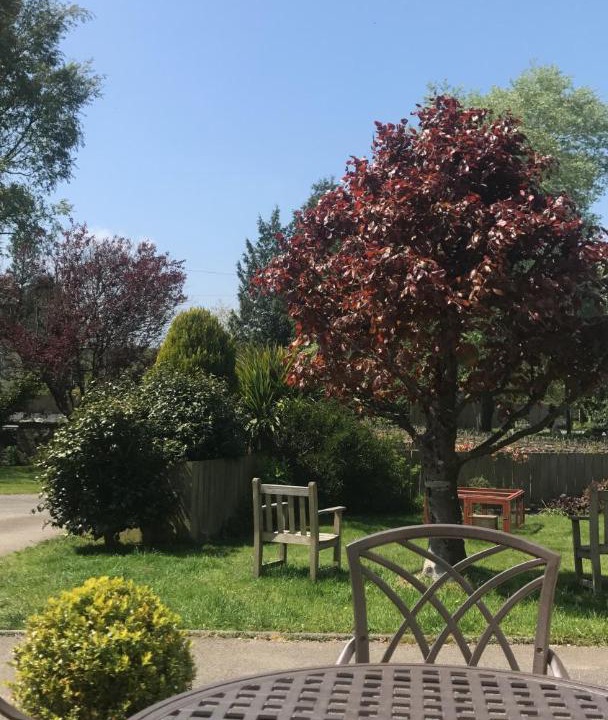 Photo of Others in Tregony