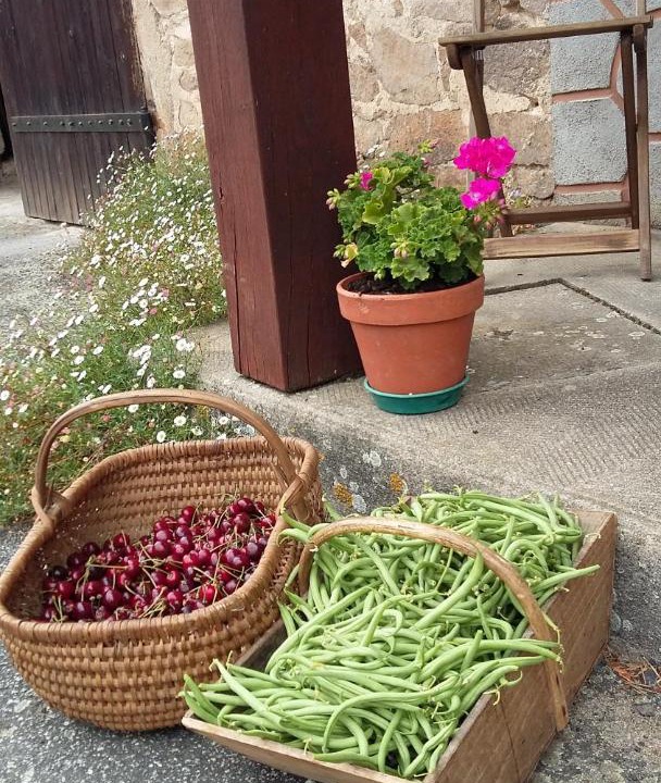 Photo of Others in Saint-Amand-Magnazeix