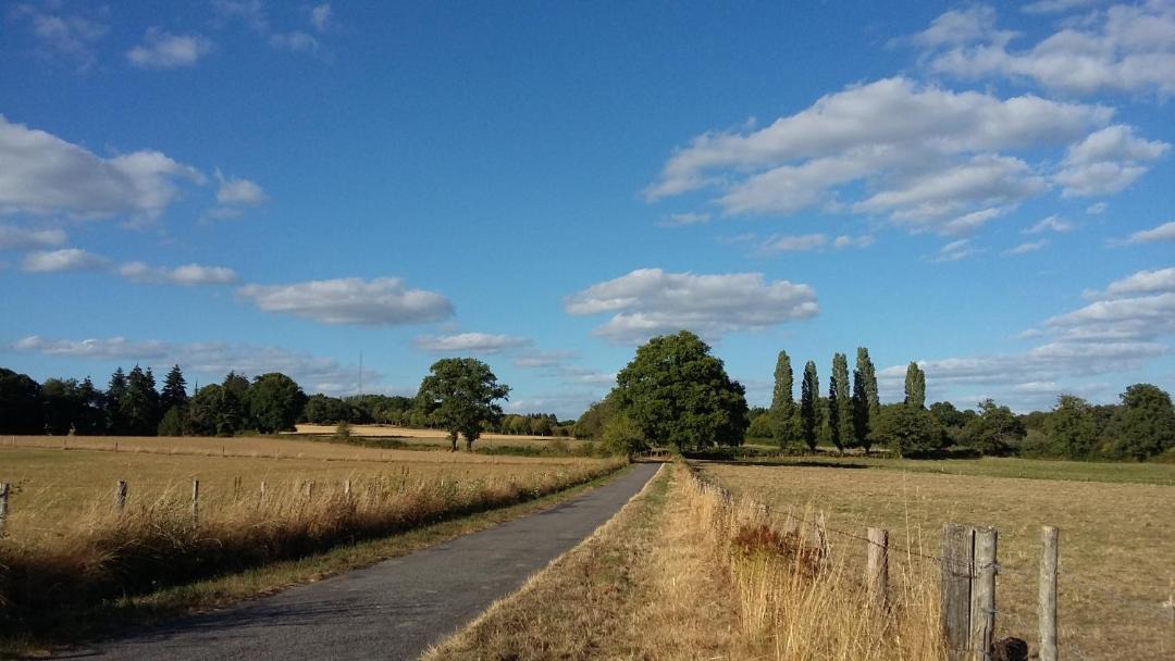 Photo of Others in Saint-Amand-Magnazeix