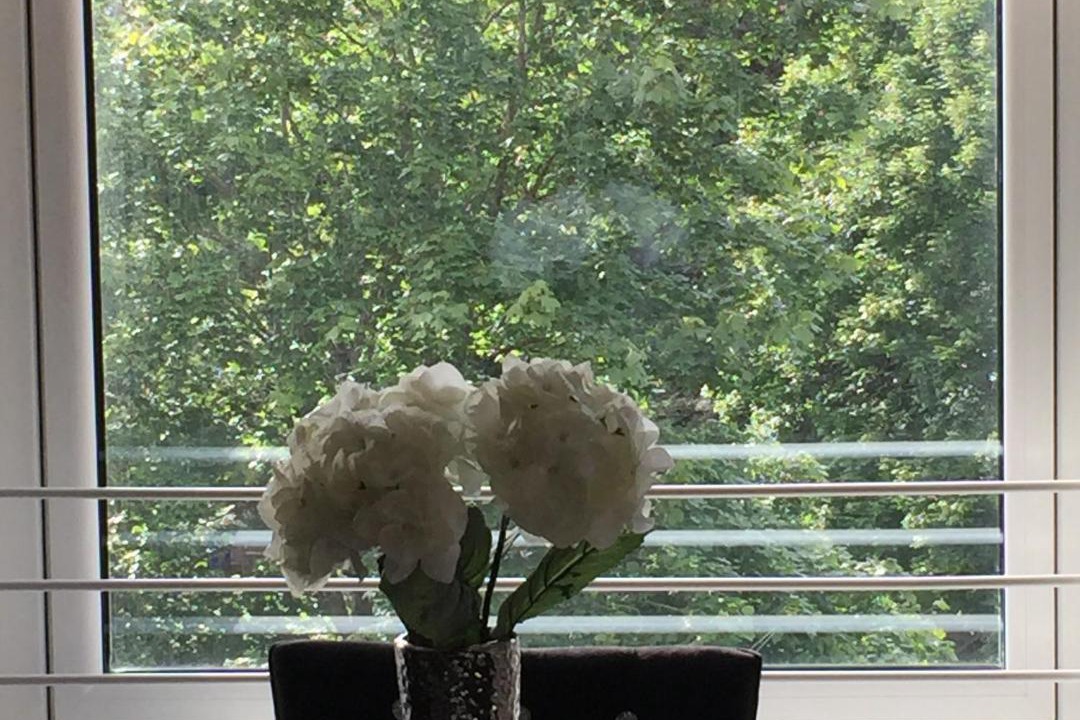 Photo of Others in North West