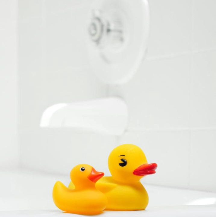 Photo of Others in Bristol Hills