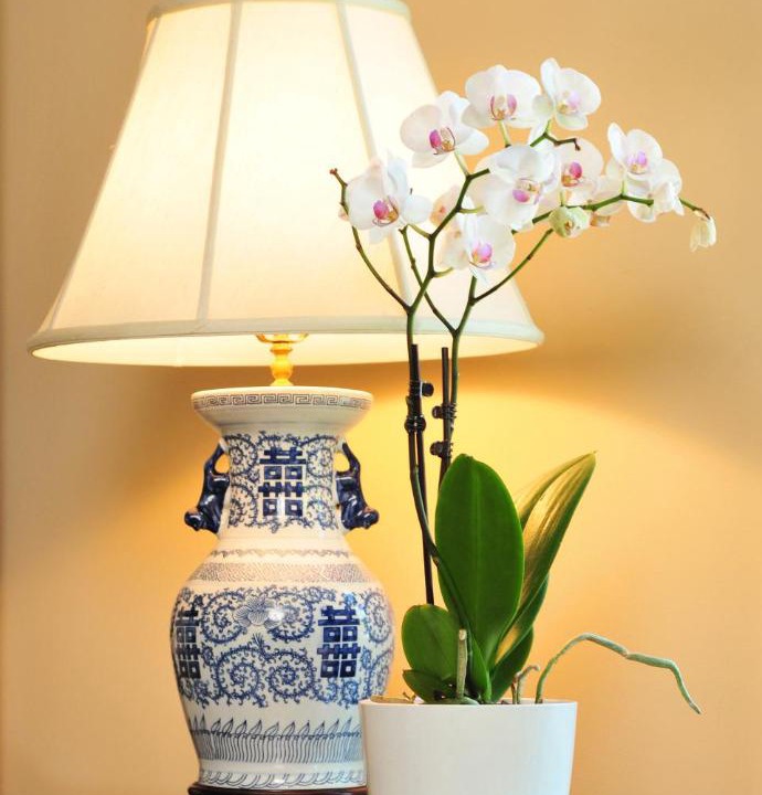 Photo of Others in Bristol Hills