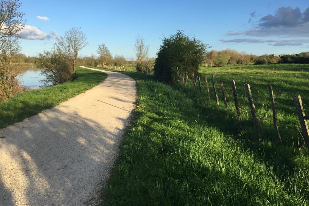 Photo of Others in Auchay-sur-Vendee