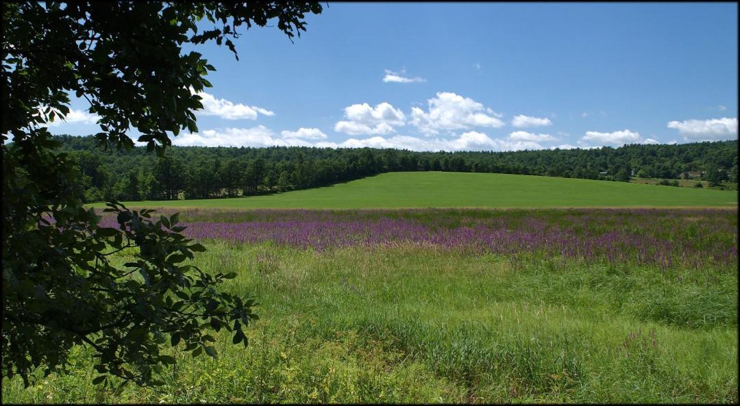 Photo of Others in Waterbury