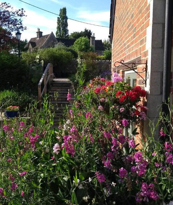 Photo of Buildings in Lacock