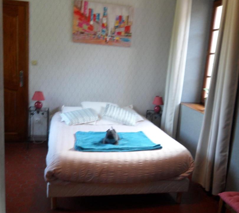 Photo of Others in Surques