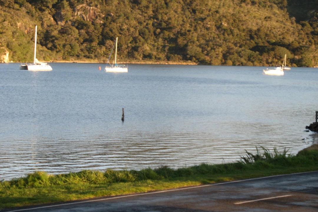 Photo of Outdoor in Whitianga