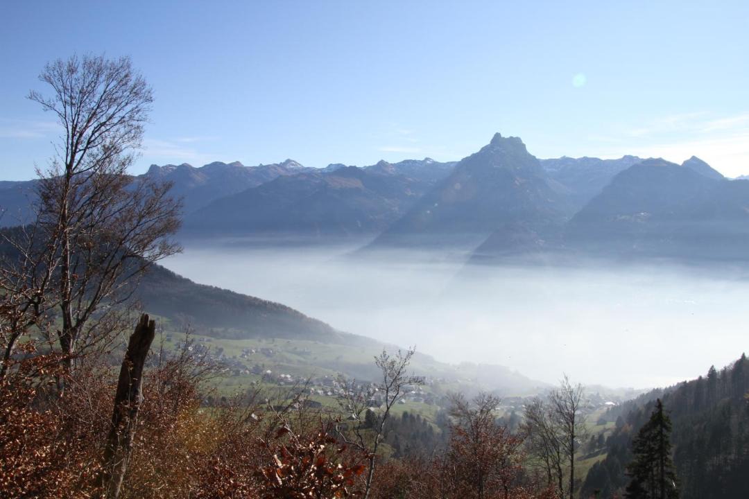 Photo of Others in Amden