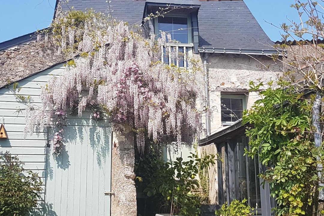 Photo of Others in Villemoisan