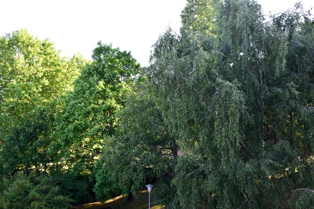 Photo of Outdoor in Jules Verne