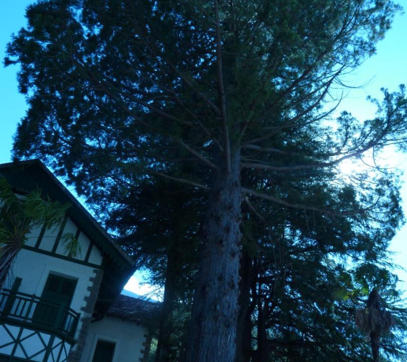 Photo of Others in Castejon de Sos