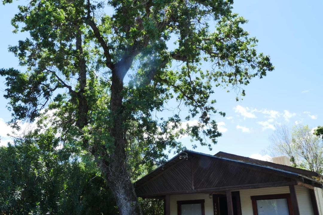 Photo of Others in Clearlake