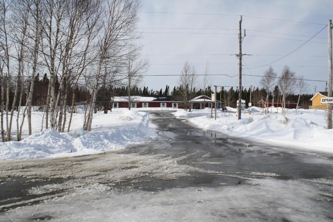 Photo of Others in Gander