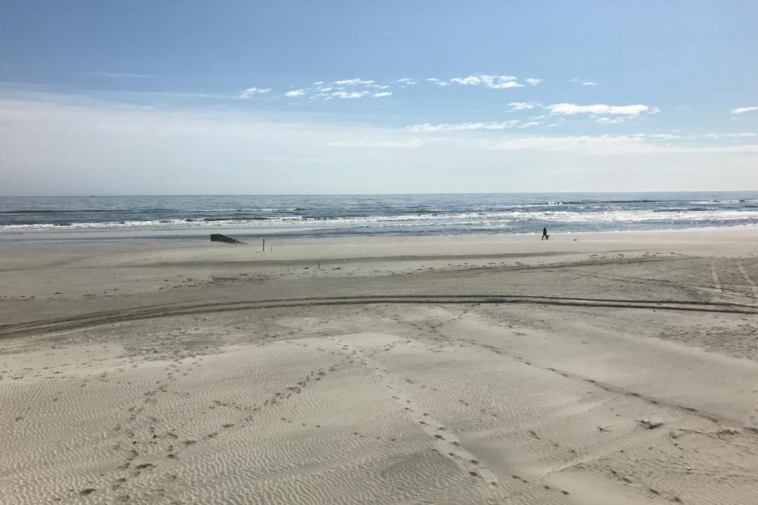Photo of Others in Wildwood