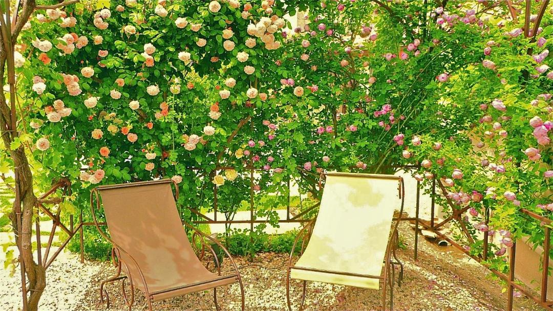 Photo of Others in Robion