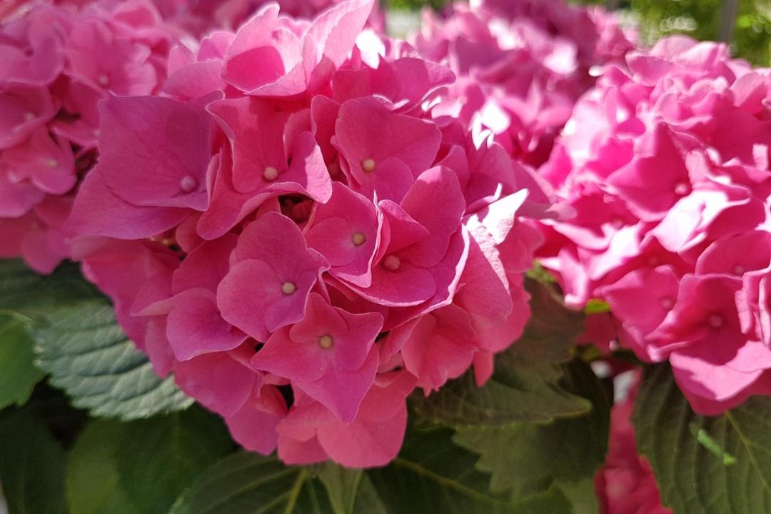 Photo of Outdoor in Rozat