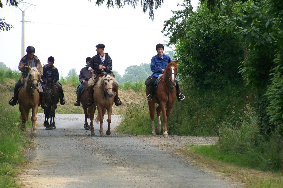 Photo of Others in Saint-Hilaire-du-Harcouet