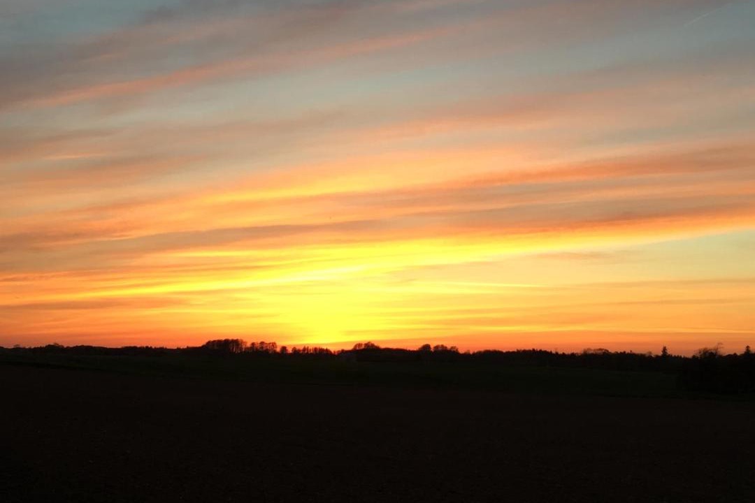 Photo of Outdoor in Vejle