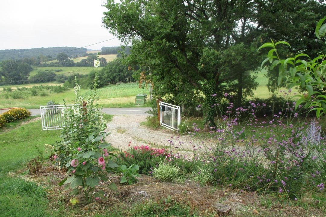 Photo of Others in Pelleport