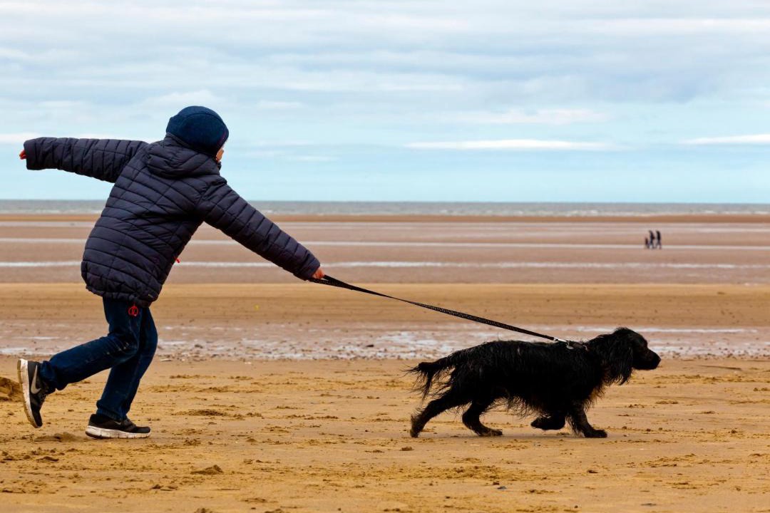 Photo of Human In Picture in Burnham Deepdale