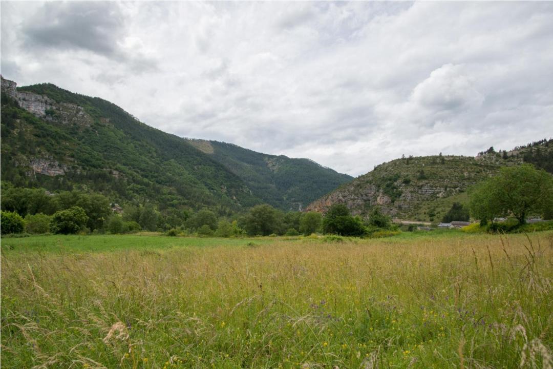 Photo of Others in Gorges du Tarn Causses