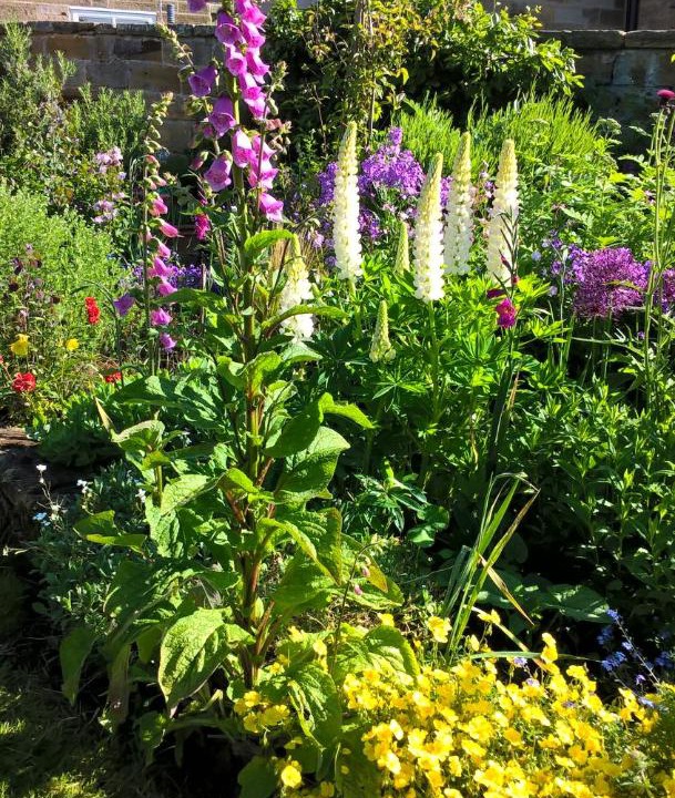 Photo of Outdoor in Fylingthorpe