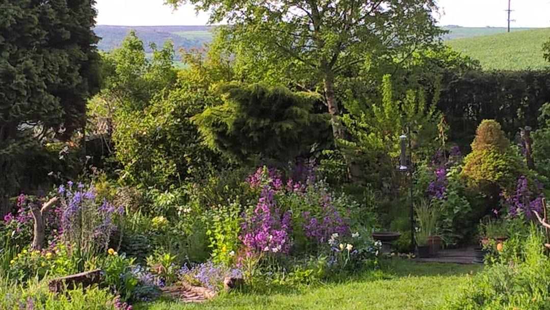 Photo of Outdoor in Fylingthorpe