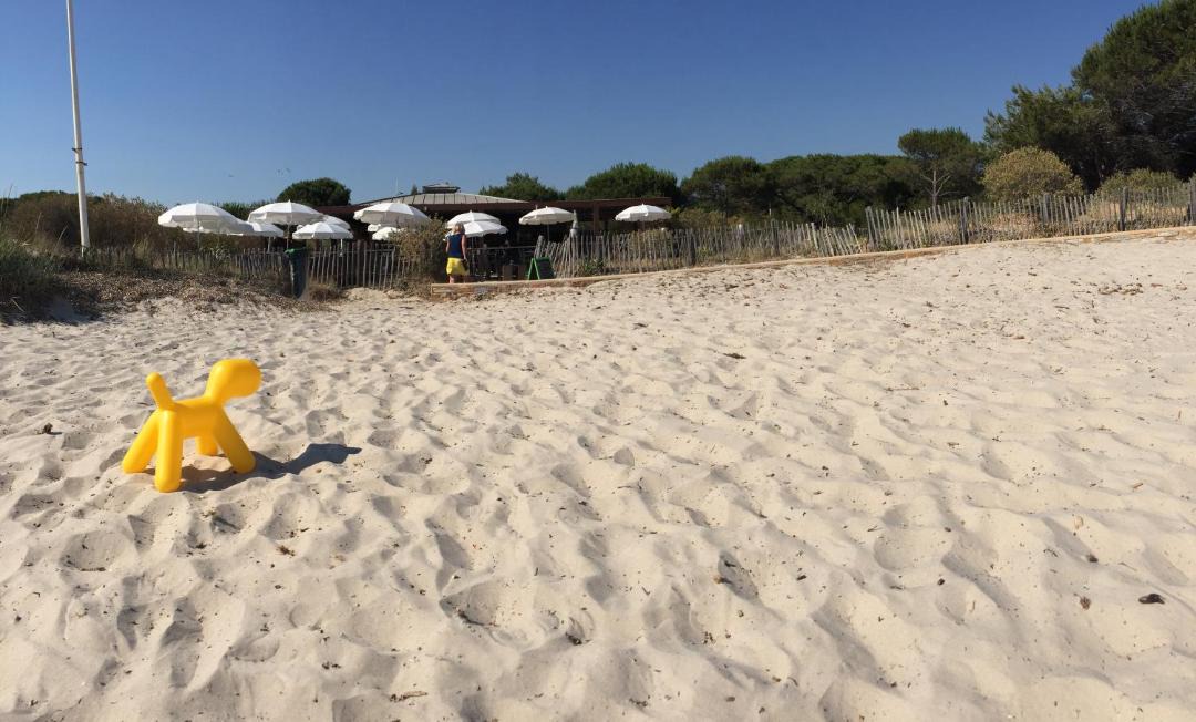 Photo of Others in Les Sablettes