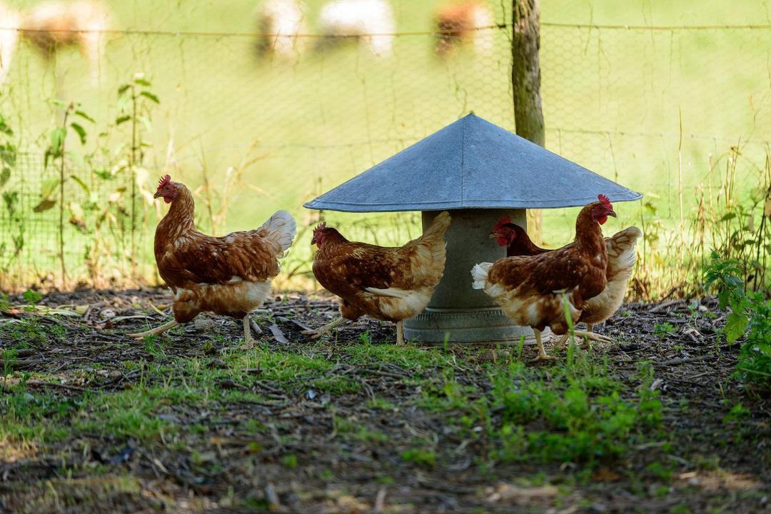 Photo of Others in Neuilly-le-Real