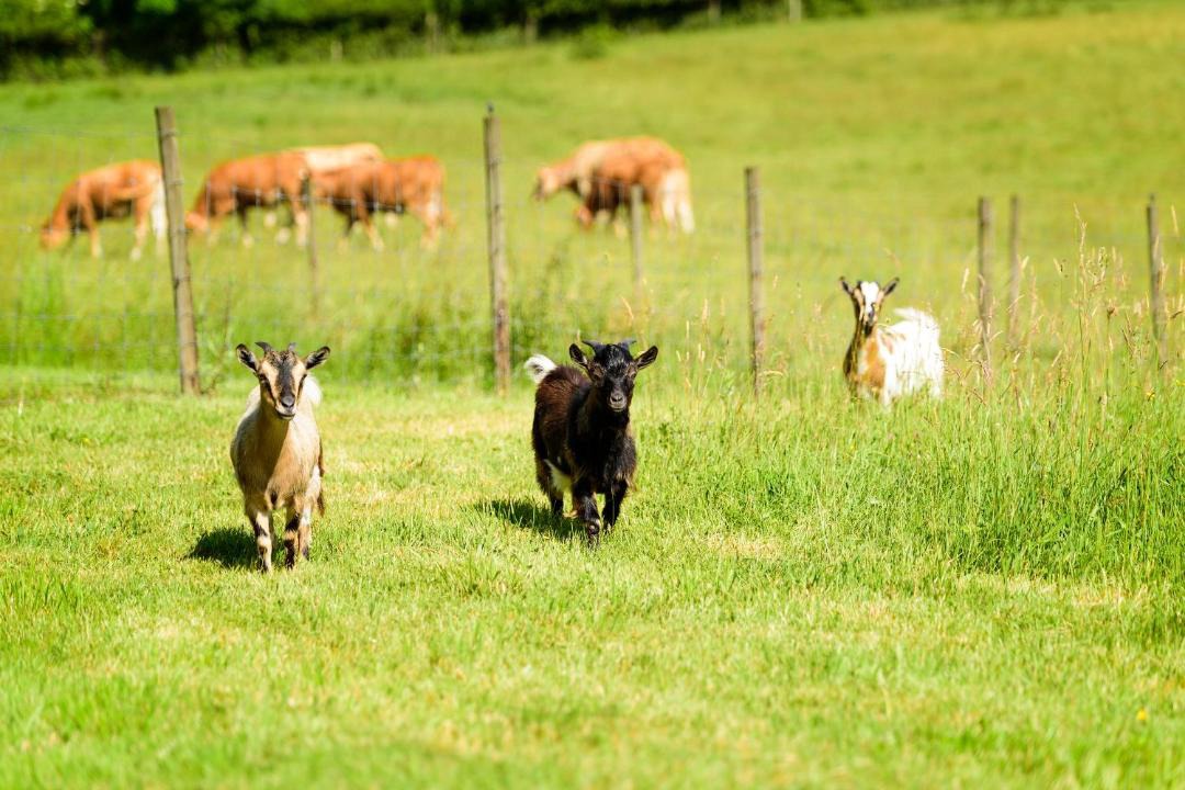 Photo of Others in Neuilly-le-Real